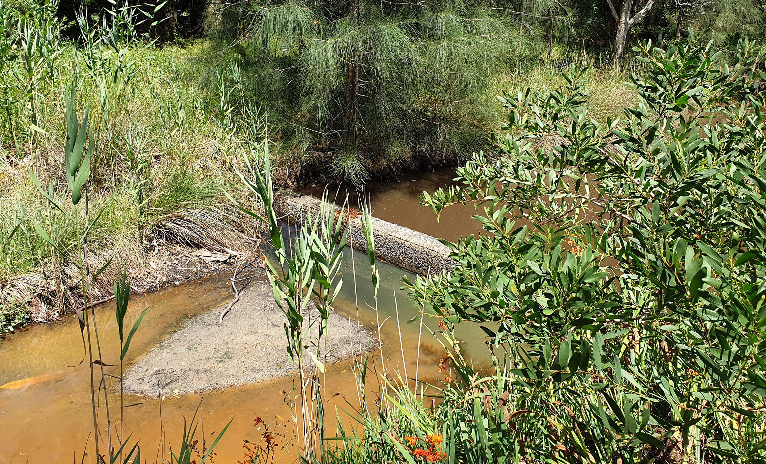 Photograph of sediment build up in a creek